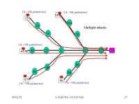 08/02/01S. Felix Wu --UCCS Visit1 Distributed Denial of Services the Problem, its Solutions, and their Problems Dr. S. Felix Wu... 