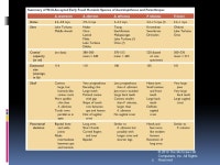 Evolution of the Hominins © 2010 The McGraw-Hill Companies, Inc. All Rights Reserved 1  The Origin and Evolution of the Primates... 