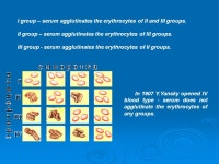 Lecture: “ DOCTRINE ABOUT BLOOD. TESTS BEFORE HAEMOTRANSFUSION”. -  ppt download