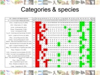 Biorange Meeting PhyloPat phylogenetic pattern analysis of eukaryotic genes & Immunophyle its application on the evolution of the... 