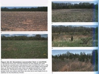 SUCCESSION. Change of ecosystems over time New habitats are created when a volcano forms a new island, a glacier recedes and... 