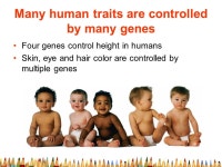 1/20 & 1/ th Grade Agenda Collect HW: Reading & Notetaking p. 101 – 104 & Signed Grade Printout Last Day to turn in late work... 