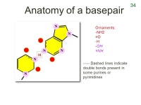 like a dowel. Arises from? Ionic: like a rare earth magnet.... Hydrogen: like a wimpy old fridge magnet. Arises. -  ppt download