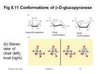 Prentice Hall c2002Chapter 81 Principles of BIOCHEMISTRY Third Edition HORTON MORAN OCHS RAWN SCRIMGEOUR. -  ppt download