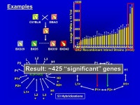 Presented by John Quackenbush, Ph.D. at the June 10, 2003 meeting of the Pharmacology Toxicology Subcommittee of the Advisory... 
