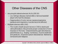 Copyright © 2012 Wolters Kluwer Health | Lippincott Williams & Wilkins Chapter 12 Coding for Diseases of the Nervous System and... 
