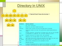 리눅스 : Lecture 4 기본적인 UNIX 명령어 Acknowledgement : (i) wikipedia.org, (ii) -  ppt download