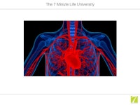 The 7 Minute Life University Section 4 Creating a Life with Meaning Understanding Your Priorities and Purpose. -  ppt download