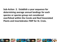Caribbean Fishery Management Council 137 th Meeting March , St. Thomas, USVI. -  ppt download