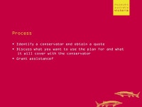 Conservation Planning Friday 9 March Introductions Find out about the person next to you: their name reasons for attending the... 