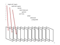 1 Foundations of the Semantic Web Lecture 4 More Pattern and a Problem Classes as Values Combining Necessary & Sufficient with...