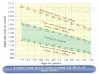 HOW TRAINING AND FITNESS AFFECT THE HEART. 1. HEART RATE OR PULSE RATE- This is the number of times the heart beats per minute.... 