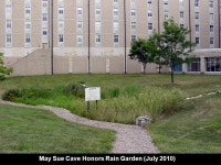 Wetlands Ecology in the Lake Erie Basin. Overview What is a wetland? Case study Types of treatment wetlands Wetlands for water... 