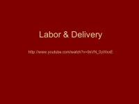 Labor & Delivery -  ppt download