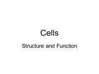 Cells Structure and Function Discovery of Cells The invention of the lens Robert Hooke (1665): observed a thin slice of cork... 