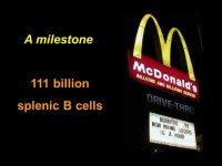 Cell Preparation and Experimental Lab Dallas. Cell Lab – Dallas. -  ppt download