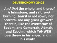 JUDE. JUDE 1:4 For there are certain men crept in unawares, who were before of old ordained to this condemnation, ungodly men... 