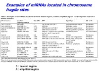 MicroRNAs Small Non-coding RNAs with Big Impact in Biology Hua-Chien Chen Ph.D Molecular Medicine Research Center Chang Gung... 