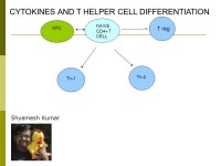 WIIFM: examples of functional modeling NMSU GO Workshop 20 May ppt download