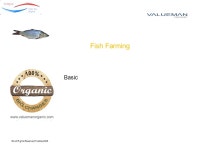 © All Rights Reserved TreQna 2005 Think Organic …… Think India. -  ppt download