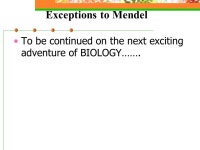 Introduction to Genetics Genetics = the scientific study of heredity. -  ppt download