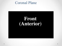 A Classification of Fractures Part 7: Sticks and stones may break my bones but … -  ppt download