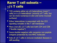 Disorder of immune system Yeong-Wook Song, MD Division of Rheumatology Seoul National University. -  ppt download