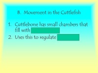 Mollusks (continued) Cephalopods Name means “head-foot” Most have no external shell. - ppt download