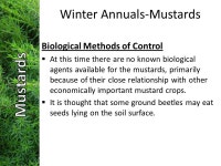 This presentation is on some other pesky problem weeds that sneak up on us in the early spring. UACWMA Annual Meeting Nov. 5, ppt... 