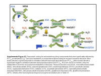> to to to to < Slope of the significant linear correlation RH max PAR max T min PCMI Max 1 h [O 3 ] -  ppt download