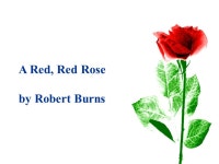 The Nightingale and the Rose Oscar Wilde The nightingale and the rose  About the author  About nightingale  About rose  Text... 