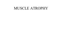 MUSCLE ANATOMY AND PHYSIOLOGY MOVEMENT ALTERATION OF DIAMETERS PROPULSION OF MATERIALS EXCRETION OF MATERIALS MAINTENANCE OF BODY... 