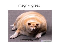 List 1. List 1 - Same Seventy STUDENT LEADER SYNCHRONIZED CHORAL REHEARSAL. -  ppt download