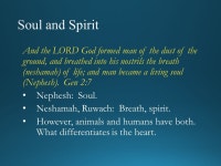 prenatal (Not in Erickson’s staging) Who am I? What am I doing here/Am I safe? Where am I going? After birth How do I get... 