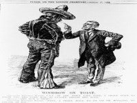 A. THE “BULL MOOSE” CAMPAIGN B. WW : MINORITY PRESIDENT. -  ppt download