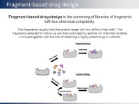 Structural biology and drug design as simple as this … de Ruyck Jérôme 30/11/2015 Lille - France. -  ppt download