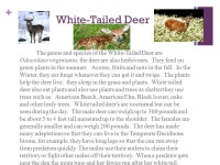 + Temperate Deciduous Forest Botanist By: Claire Riddell, Andrew Flaherty, and Ashley David. -  ppt download