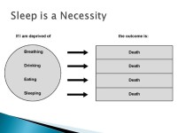  After completing this lesson, students will ◦ understand that sleep is a behavior, ◦ become more aware of their own sleep... 