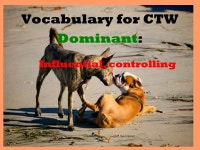 Literary Terms and Vocabulary for The Call of the Wild By Jack London. -  ppt download