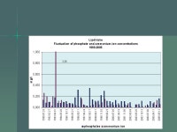 Hungarian-Slovak Environmental Monitoring on the Danube Mosonmagyaróvár, May North-Transdanubian Regional, Environmental Nature... 