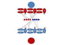 ETH Zurich – Distributed Computing –  Silvio Frischknecht, Barbara Keller, Roger Wattenhofer Convergence in (Social)... 
