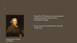 CHAPTER 22: DESCENT WITH MODIFICATION, A DARWINIAN VIEW OF LIFE Tuesday, September 2, ppt download