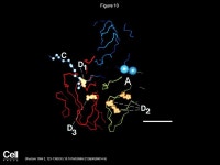 The structure and antigenicity of a type C foot-and-mouth disease virus S Lea, J Hernéndez, W Blakemore, E Brocchi, S Curry, E... 