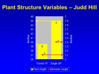 Effect of Seeding Rate on Paired- 15-Inch and Single-38-Inch Row Cotton Yield Daniel O. Stephenson, IV, Shawn W. Lancaster, and... 