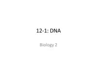 12-1: DNA Biology 2. In the mid 1900’s biologists wondered: How do genes work? What are they made of? How do they determine... 