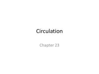 Circulation Chapter 23. Molecular Exchange O 2 & nutrients into all cells CO 2 & wastes out of all cells Necessary for large SA... 