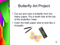 The Butterfly Life Cycle of the Butterfly Stage one is the Egg Stage two is the Caterpillar or larva Stage three is the Chrysalis... 