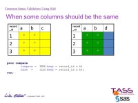 Common Sense Validation Using SAS Lisa Eckler Lisa Eckler Consulting Inc. TASS Interfaces, December ppt download
