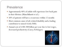 John Pineda, SPT July 2, 2015 Low Back Pain and Core Stabilization Exercise Inservice. -  ppt download