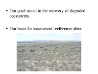 Soil property recovery on a natural gas pipeline reclamation chronosequence Caley Gasch, Snehalata Huzurbazar, Peter Stahl.... 